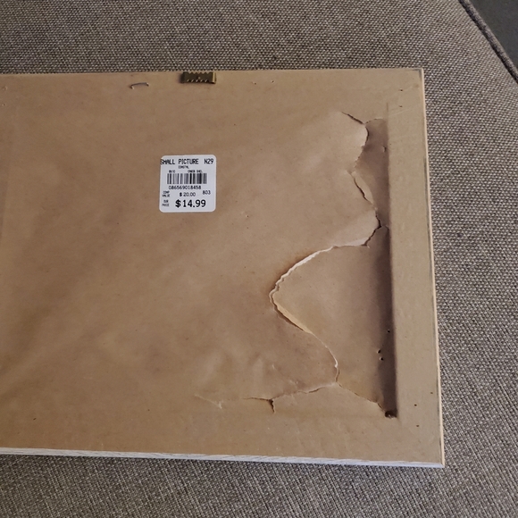 SeaShell Water Color Print by Barbara Fleri - Picture 7 of 8